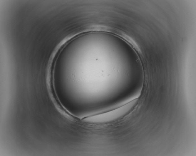 X0000112761136200908201433
