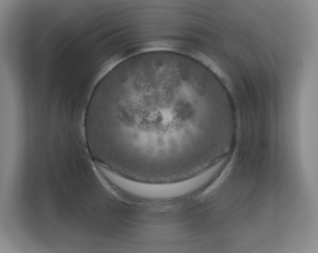 X0000112761137200908201433