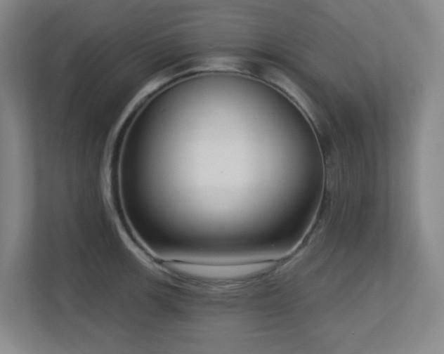 X0000112761139200908201433