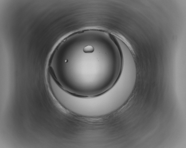 X0000112761140200908201433