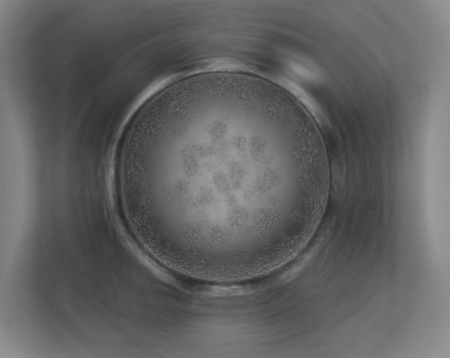 X0000112761142200908201433