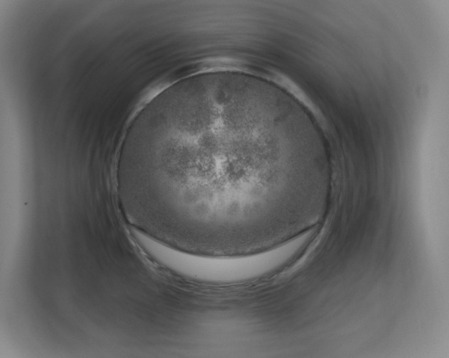 X0000112761145200908201433