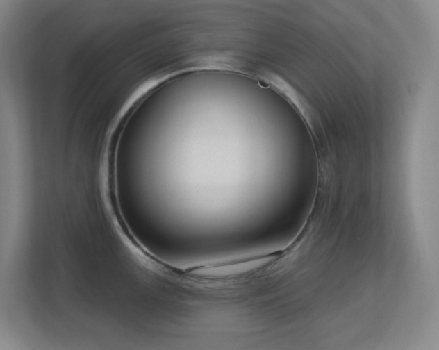 X0000112761147200908201433