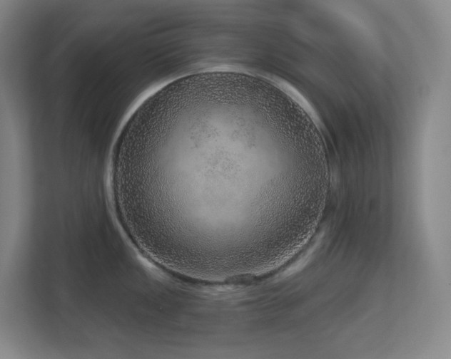 X0000112761149200908201433