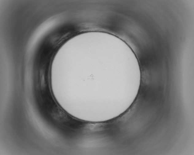 X0000112761150200908201433