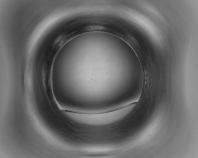 X0000112761151200908201433