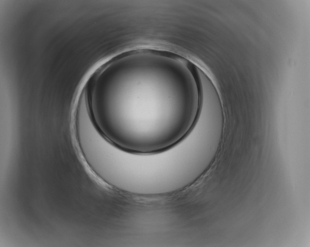 X0000112761152200908201433