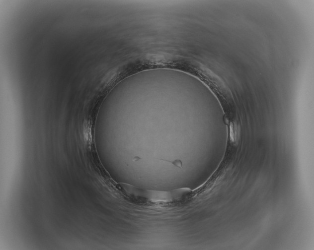 X0000112761155200908201432