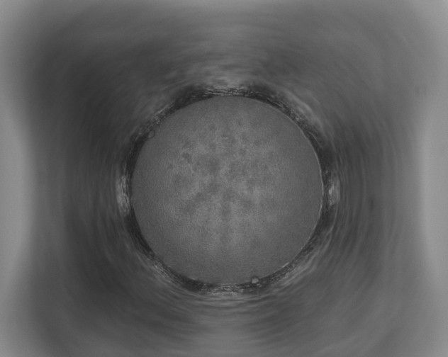 X0000112761156200908201432