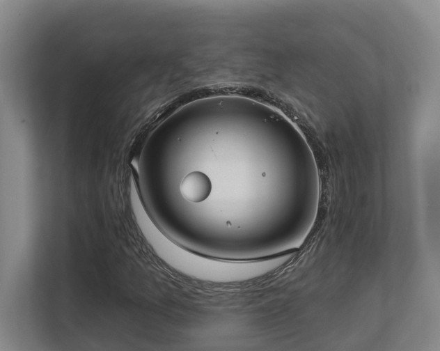 X0000112761157200908201432