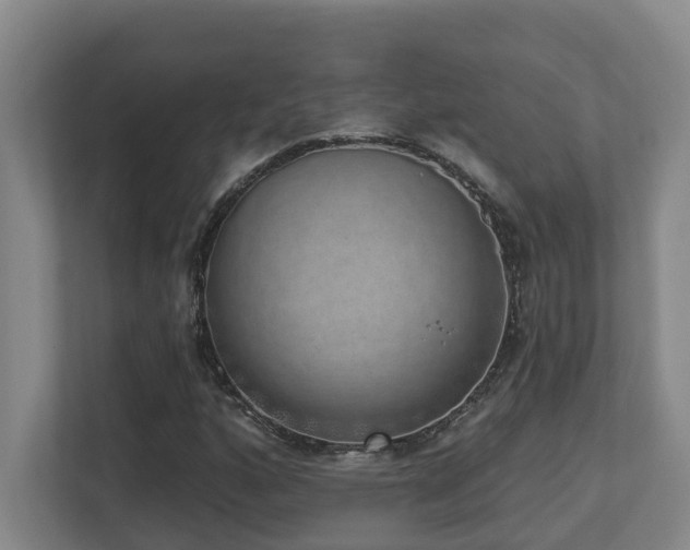 X0000112761160200908201432