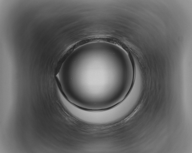 X0000112761161200908201432