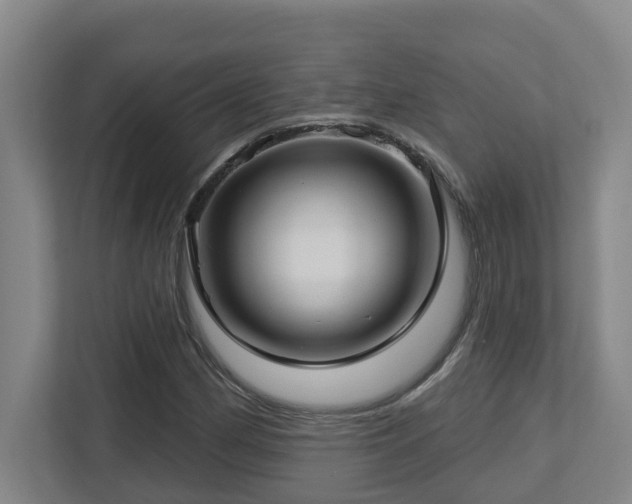 X0000112761162200908201432