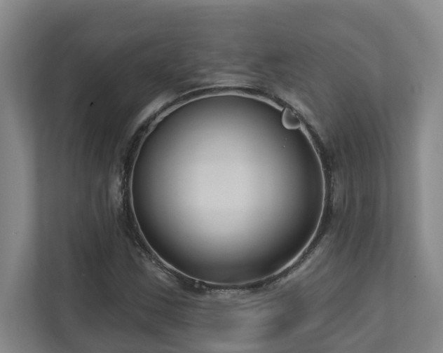 X0000112761163200908201432