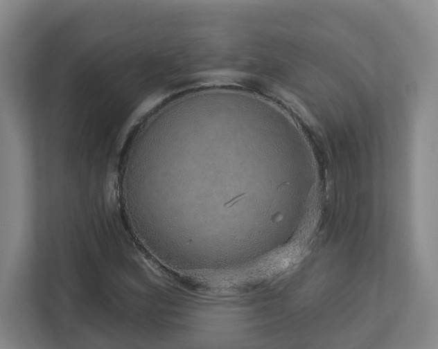 X0000112761164200908201432