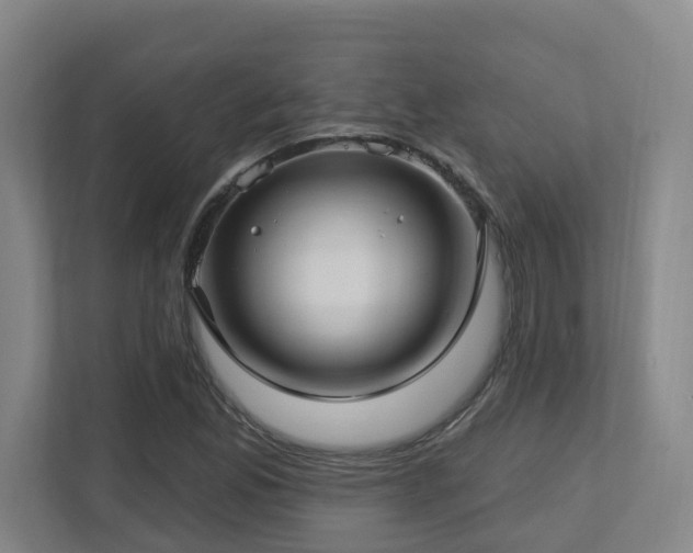 X0000112761165200908201432