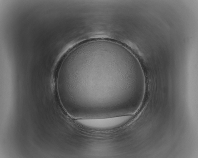 X0000112761167200908201432