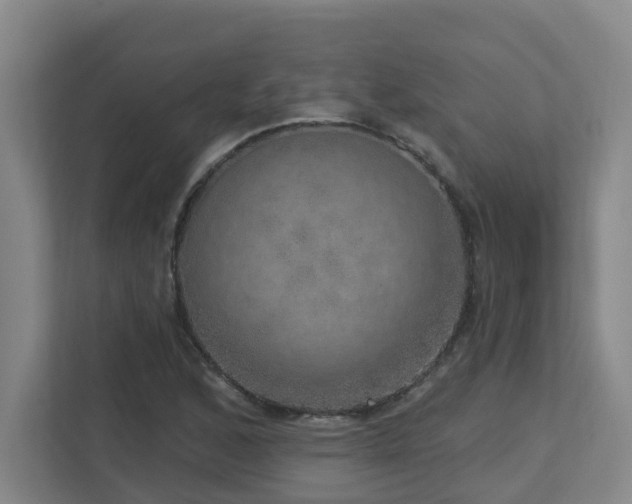 X0000112761168200908201432