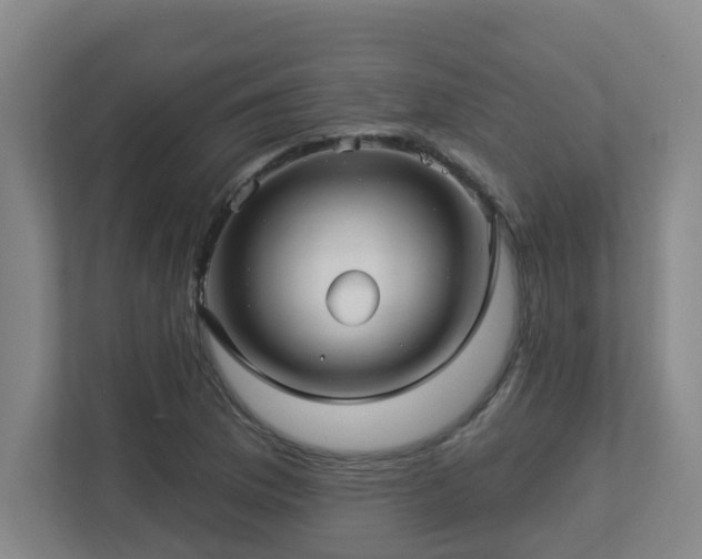 X0000112761169200908201432