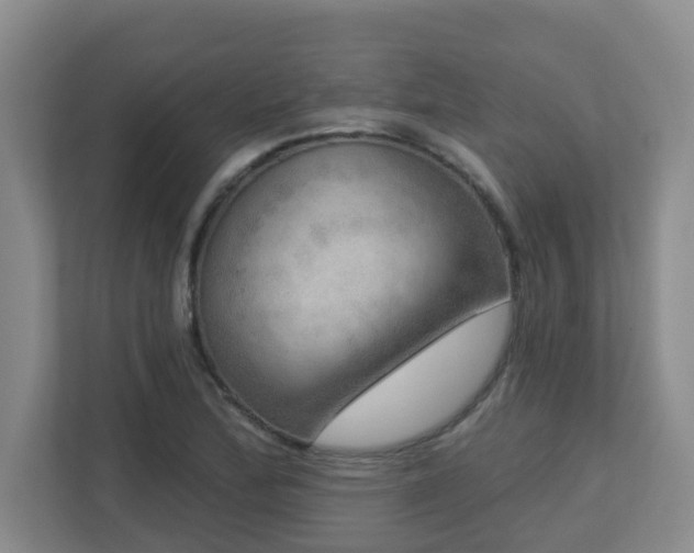 X0000112761172200908201432
