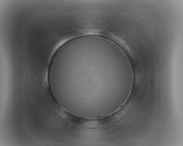 X0000112761174200908201432