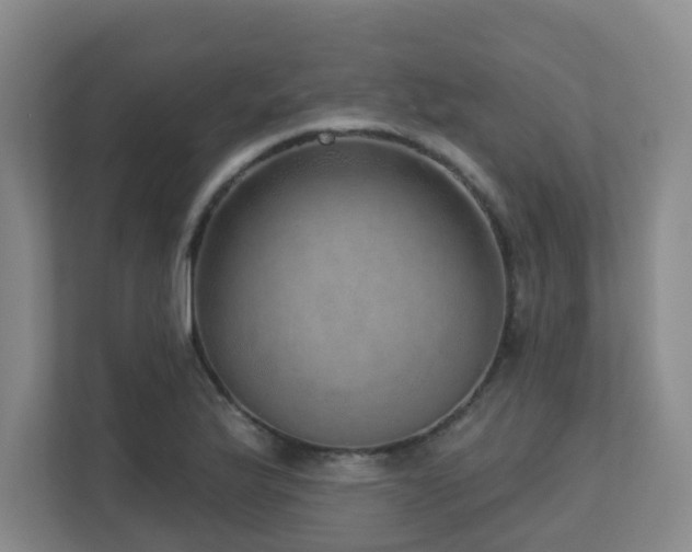 X0000112761175200908201432