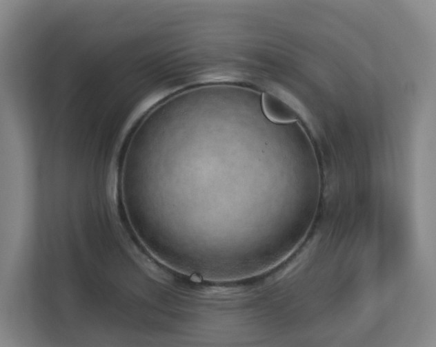 X0000112761179200908201432