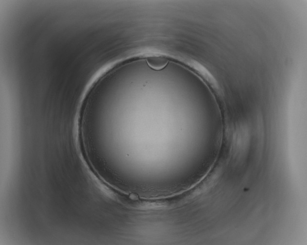 X0000112761183200908201432