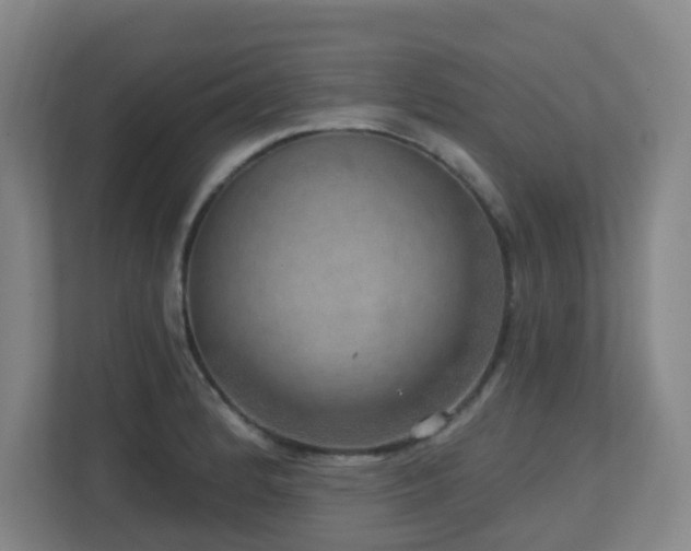 X0000112761184200908201432