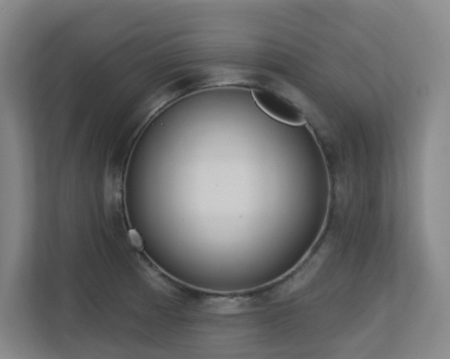 X0000112761185200908201432