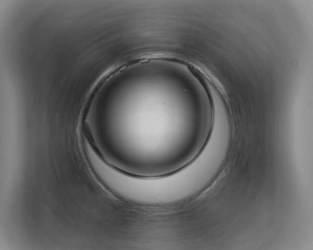X0000112761189200908201432