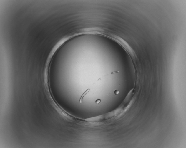 X0000112761196200908201432