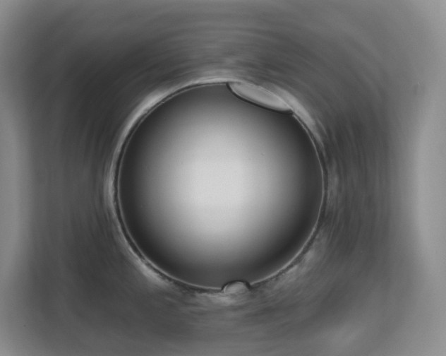 X0000112761197200908201432