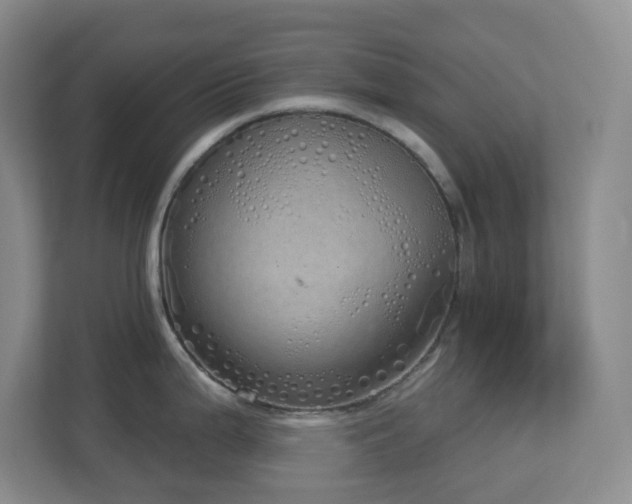 X0000112761199200908201431