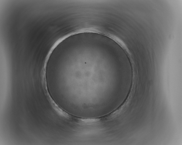 X0000112761200200908201431