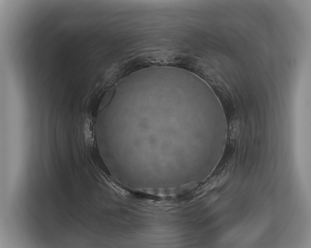 X0000112761202200908201431