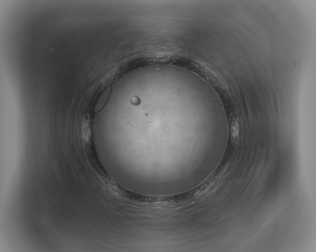 X0000112761204200908201431