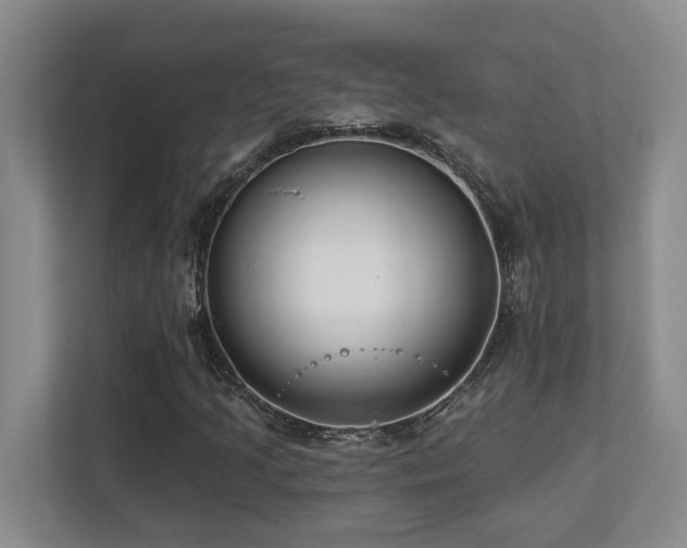 X0000112761205200908201431