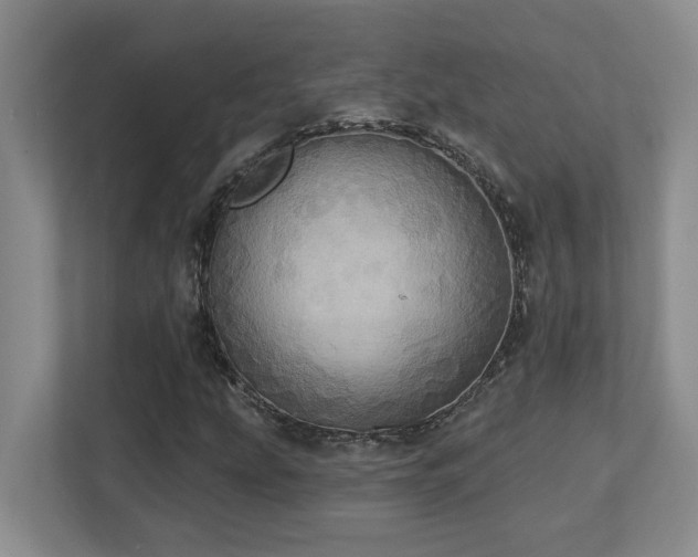 X0000112761207200908201431