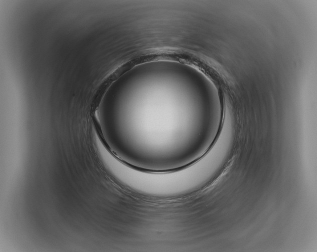 X0000112761209200908201431