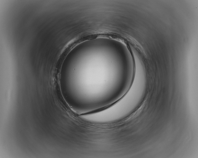 X0000112761210200908201431