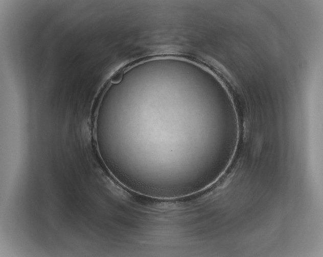 X0000112761212200908201431