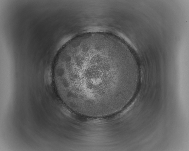 X0000112761213200908201431