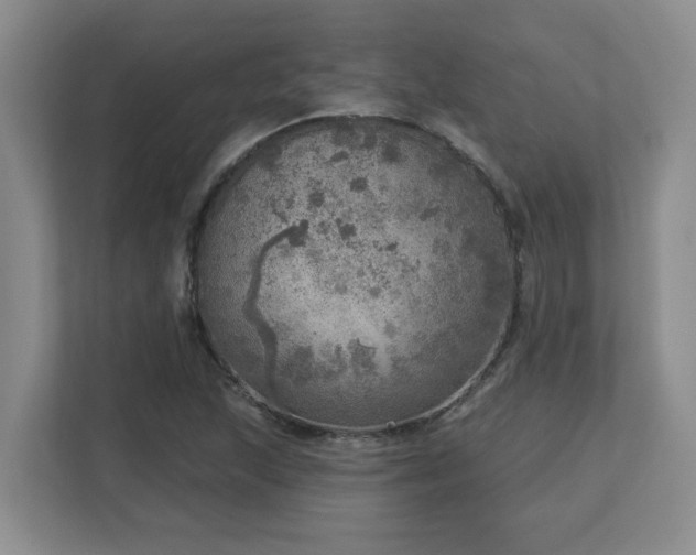 X0000112761215200908201431
