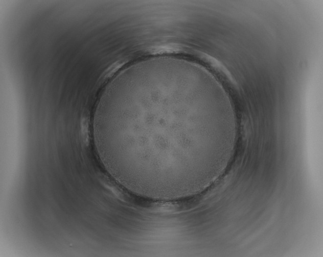 X0000112761217200908201431