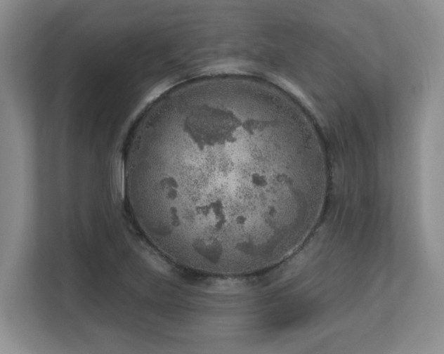 X0000112761219200908201431
