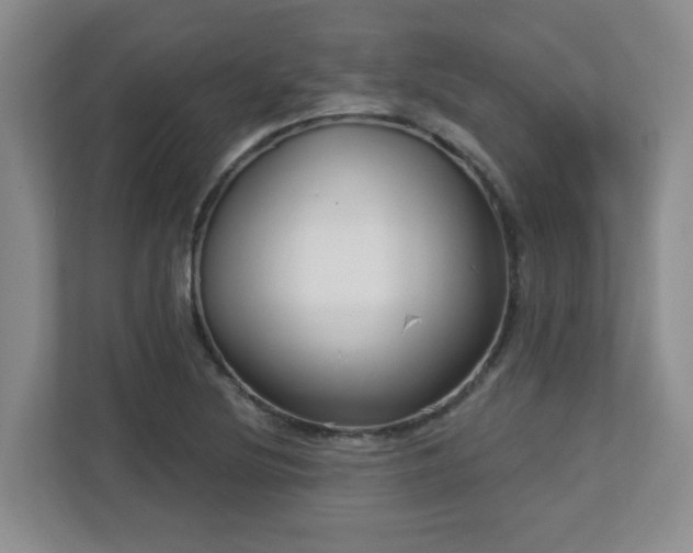X0000112761220200908201431