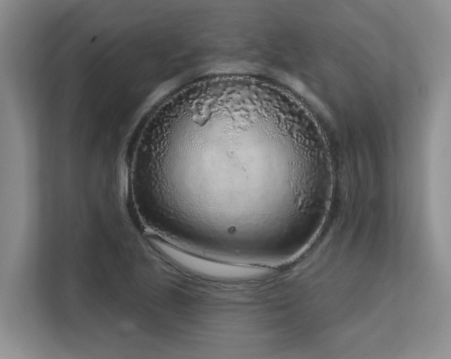 X0000112761221200908201431