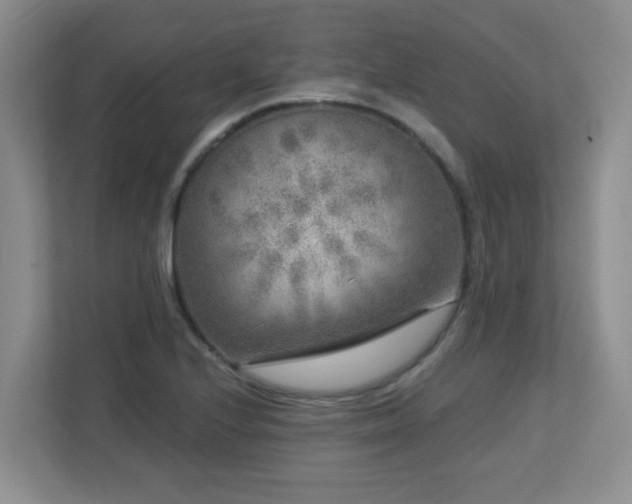 X0000112761224200908201431