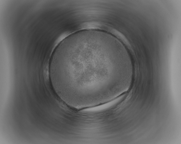 X0000112761226200908201431
